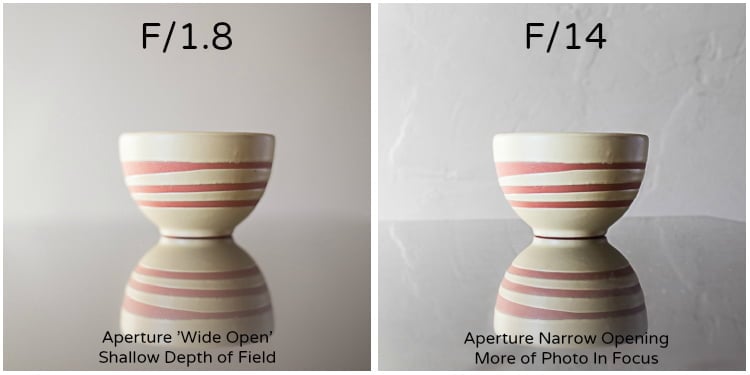 Factors To Consider When Choosing The Best Camera For Your Product Photography 7 best cameras