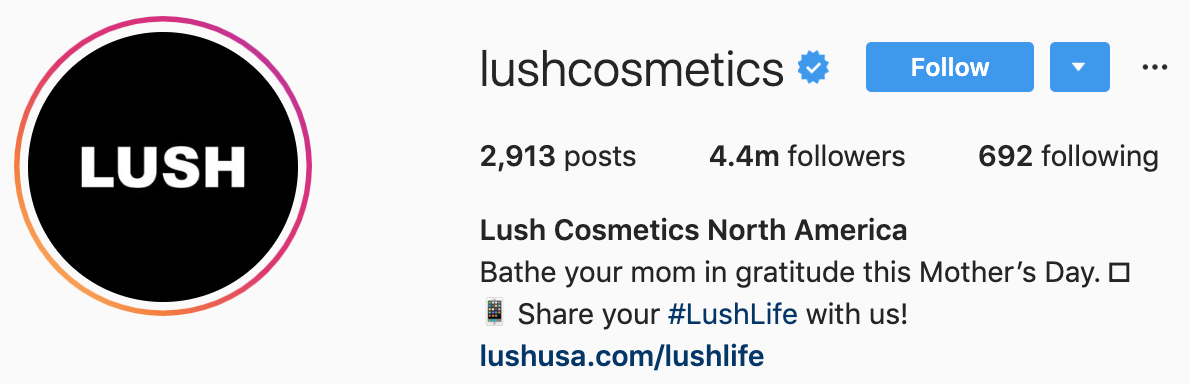 The Guide On Writing Branded Content For Social Media 11 lush cosmetics instagram page